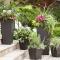planter
