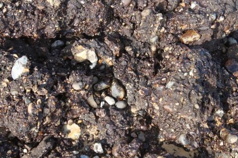  Close up image of oil