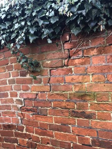 Wall
