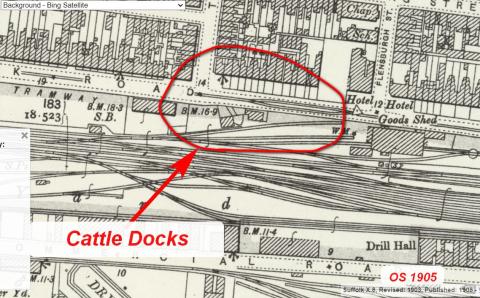 OS Map 1905 Showing Cattle Docks