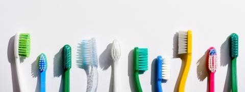 Photo of toothbrushes