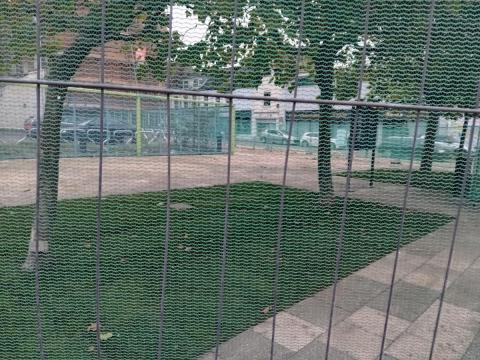 Triangle Trees October 2023