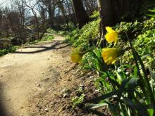Path